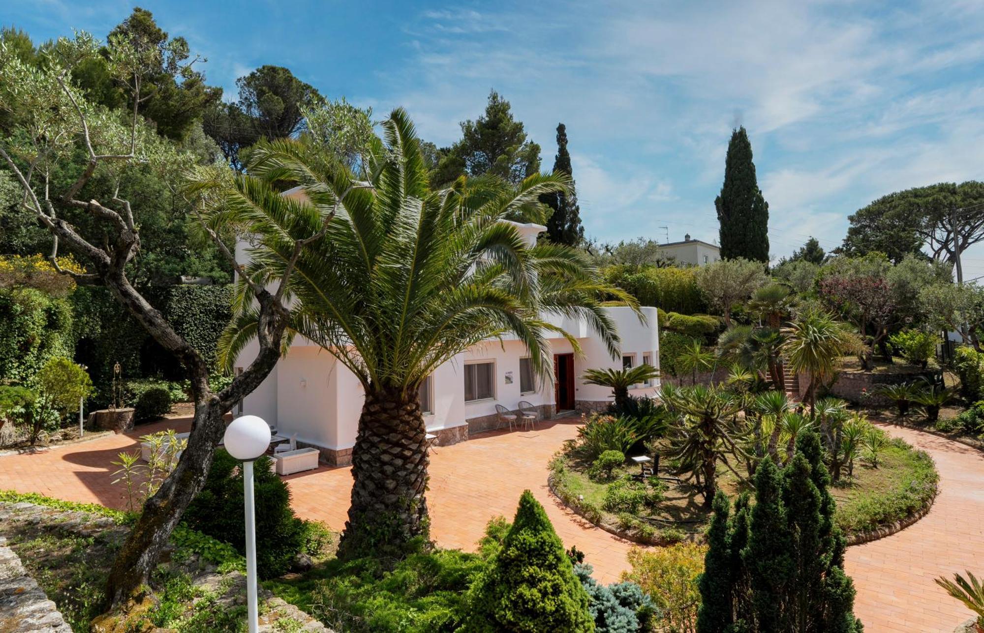 Villa Donna Carolina Capri Anacapri  Zewnętrze zdjęcie